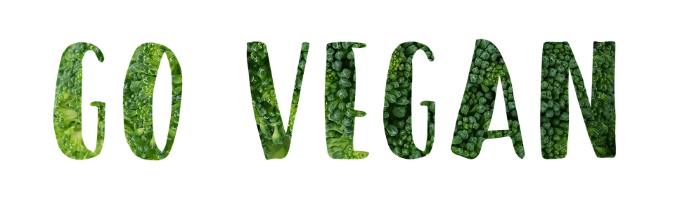 Go Vegan - Prominente Veganer